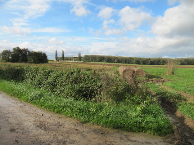 View from the former German strong point at Guillemont Quarry. The clear field of fire from the Montauban Road to the north of Trones Wood shows its strategic importance.