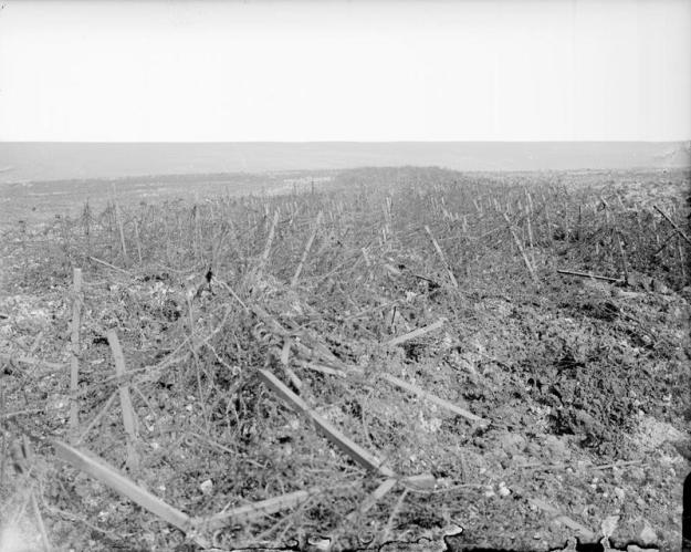  Battles of Arras. Part of the broad wire entanglement in front of the Hindenburg Line. Near Heninel, 3 May 1917. 