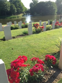Flowers maintained by CWGC