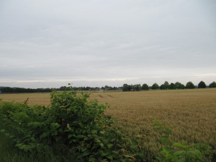 Fields of fire northwards, towards Francilly-Selency